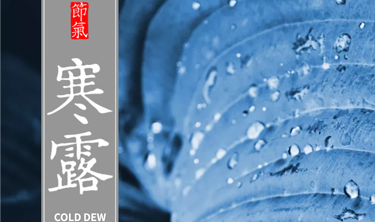 恒峰g22(国际)官网入口-天天有惊喜